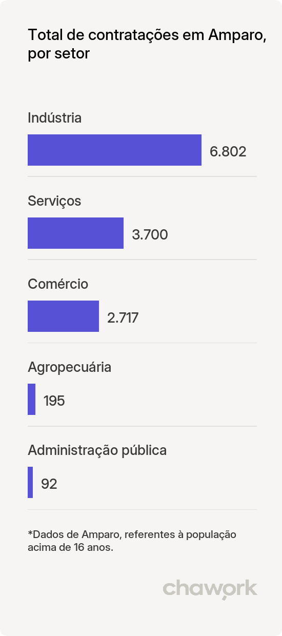 Total de contratações por setor em Amparo, SP