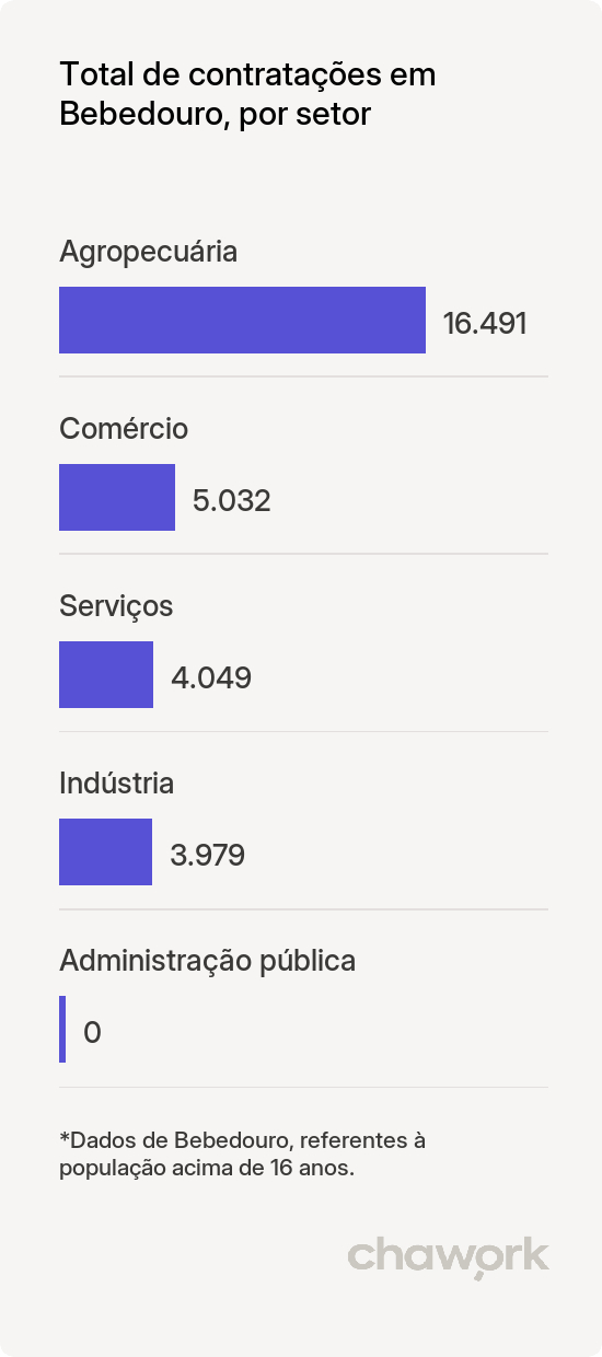 Total de contratações por setor em Bebedouro, SP