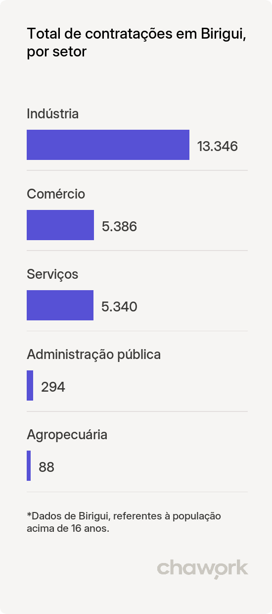 Total de contratações por setor em Birigui, SP
