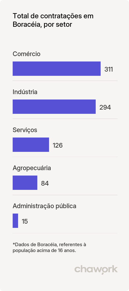 Total de contratações por setor em Boracéia, SP