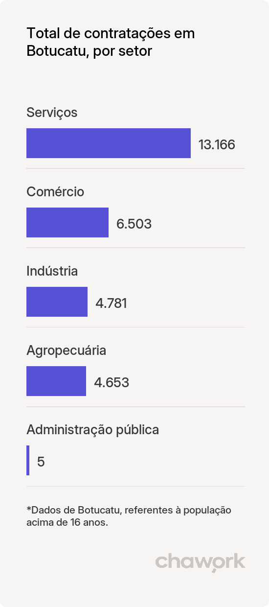 Total de contratações por setor em Botucatu, SP