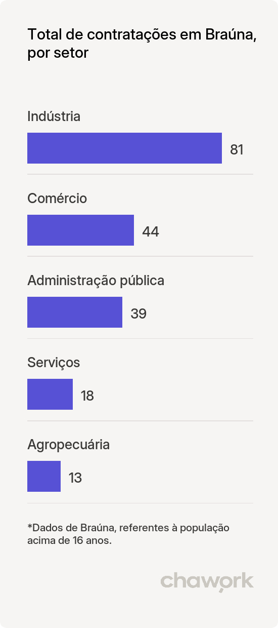 Total de contratações por setor em Braúna, SP