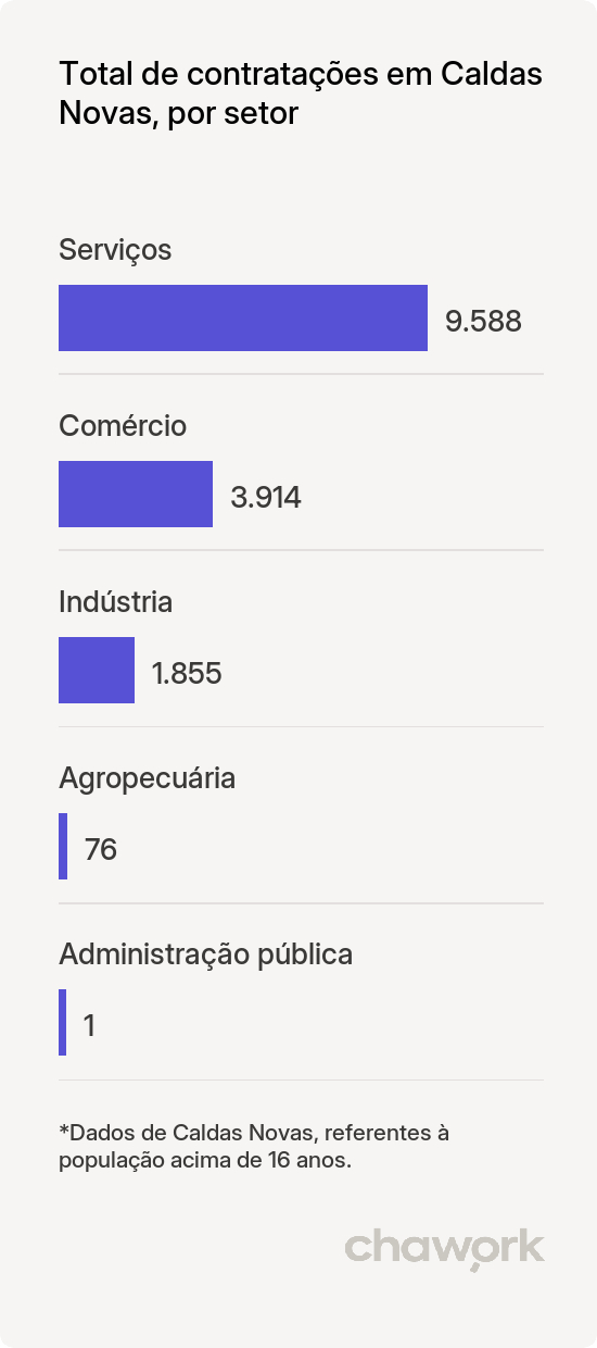 Total de contratações por setor em Caldas Novas, GO