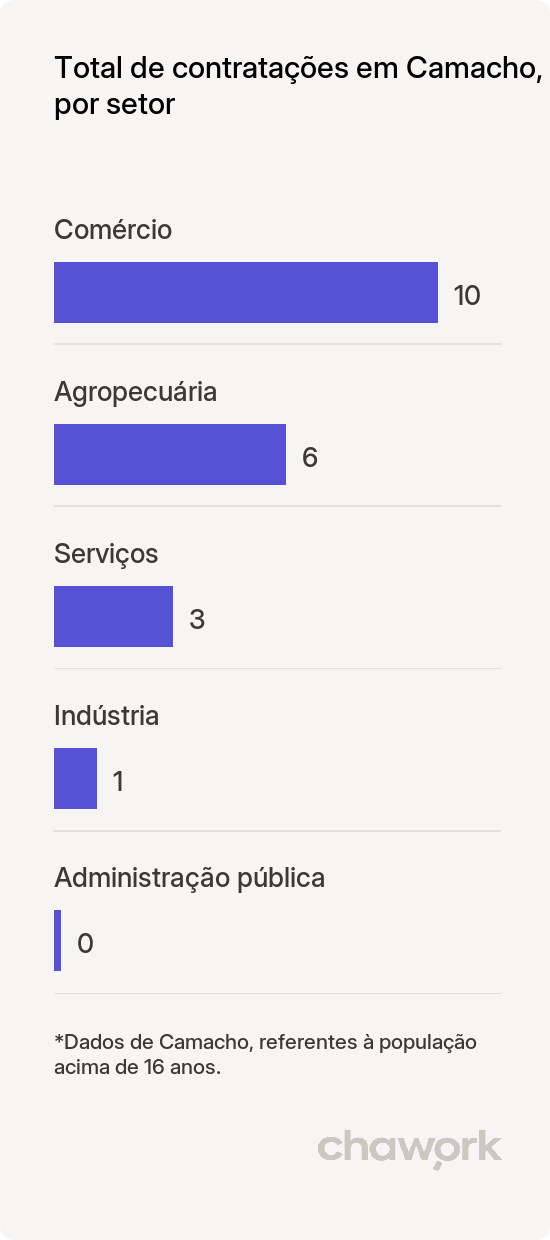 Total de contratações por setor em Camacho, MG