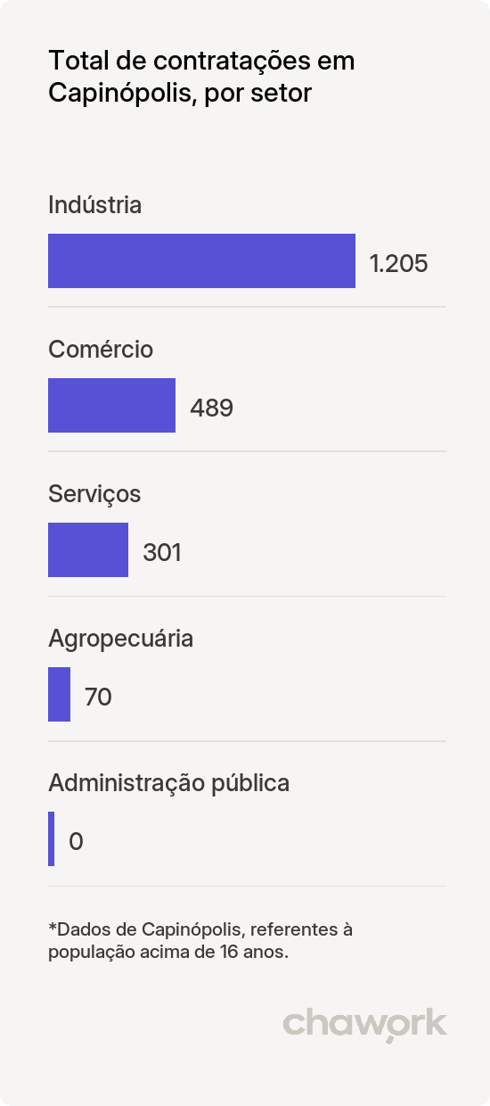 Total de contratações por setor em Capinópolis, MG