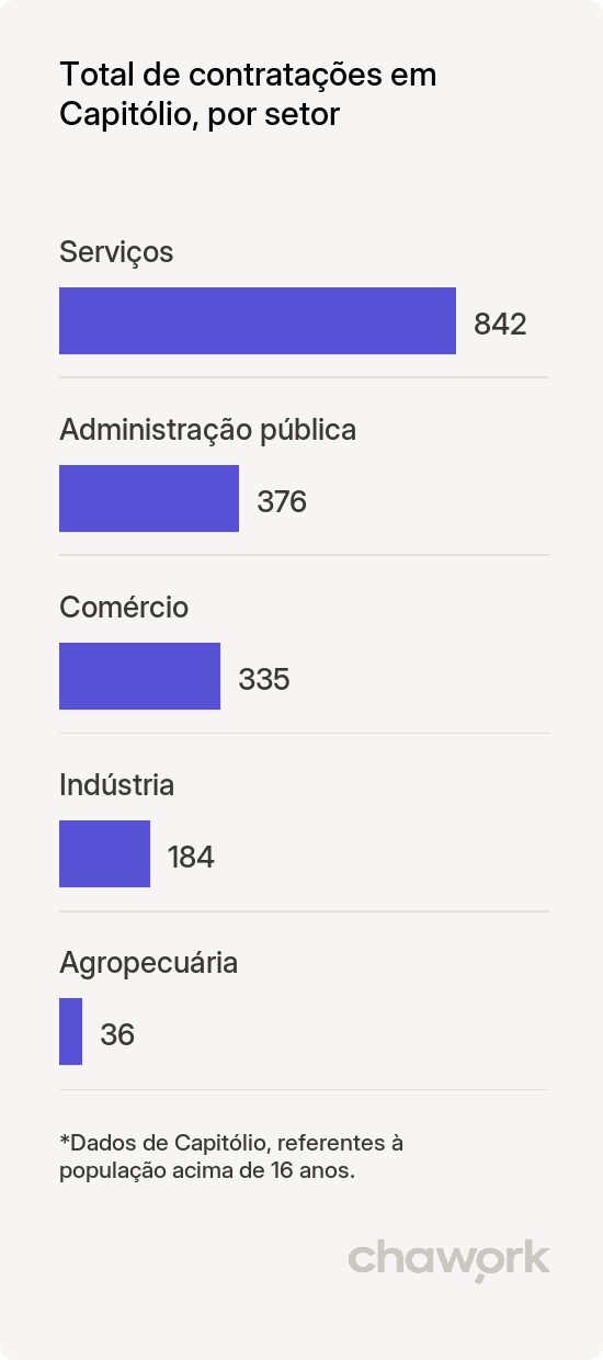 Total de contratações por setor em Capitólio, MG