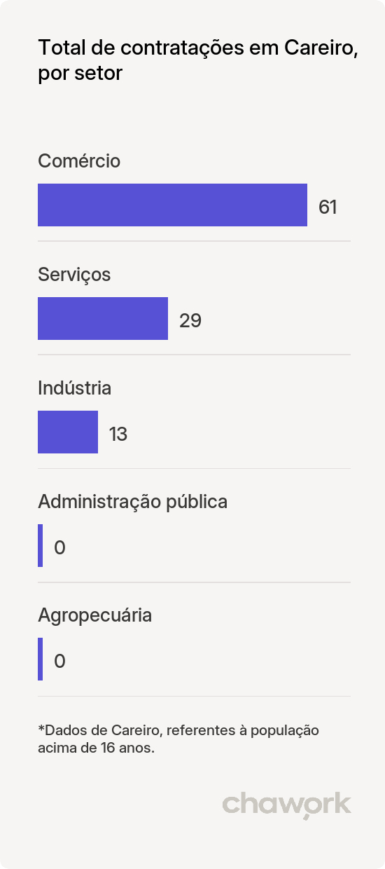 Total de contratações por setor em Careiro, AM