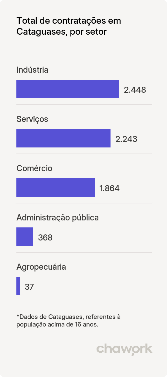 Total de contratações por setor em Cataguases, MG