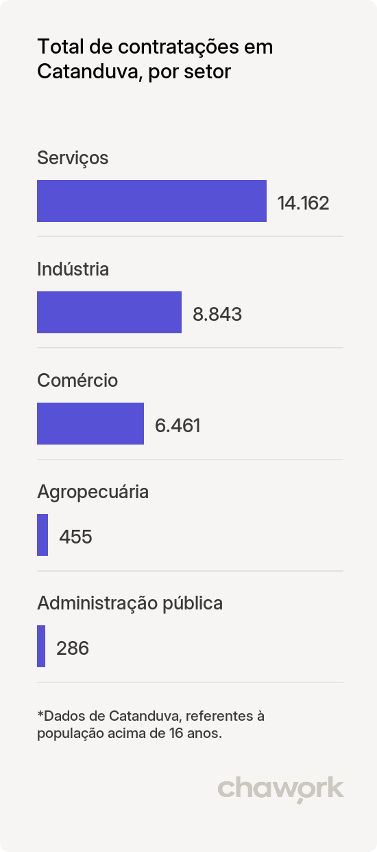 Total de contratações por setor em Catanduva, SP
