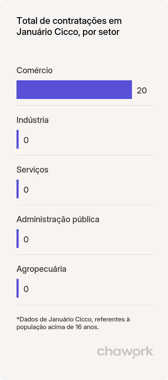 Total de contratações por setor em Januário Cicco, RN