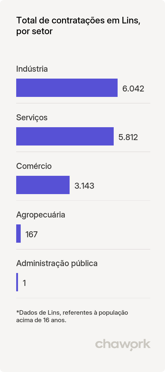 Total de contratações por setor em Lins, SP