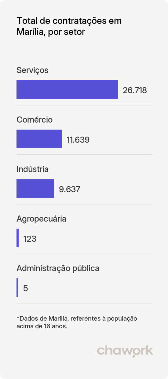 Total de contratações por setor em Marília, SP