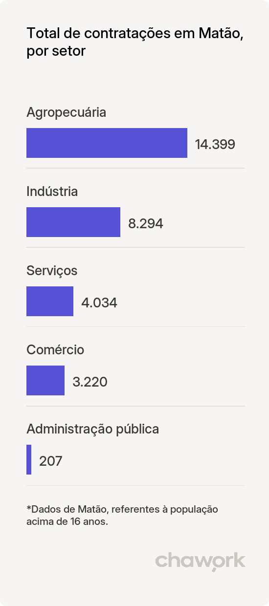Total de contratações por setor em Matão, SP