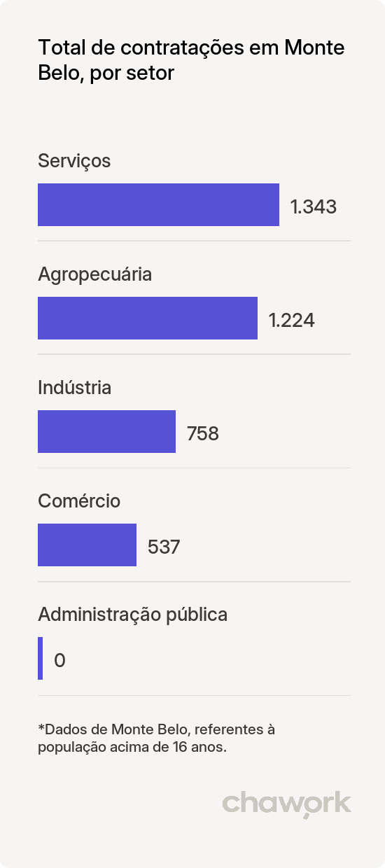 Total de contratações por setor em Monte Belo, MG