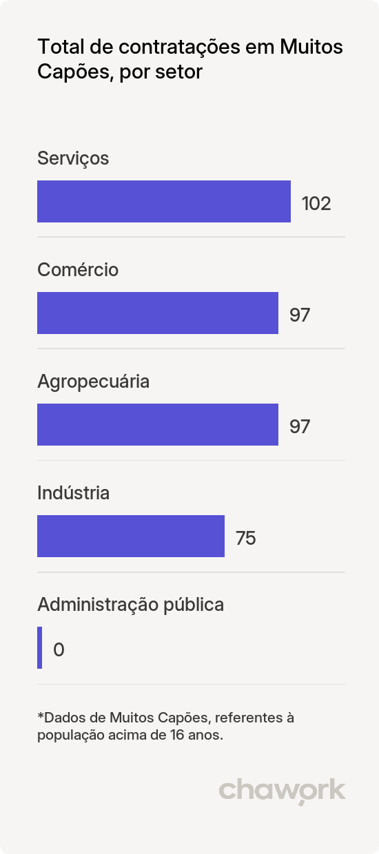 Total de contratações por setor em Muitos Capões, RS