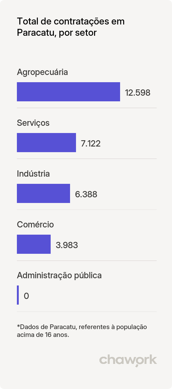 Total de contratações por setor em Paracatu, MG