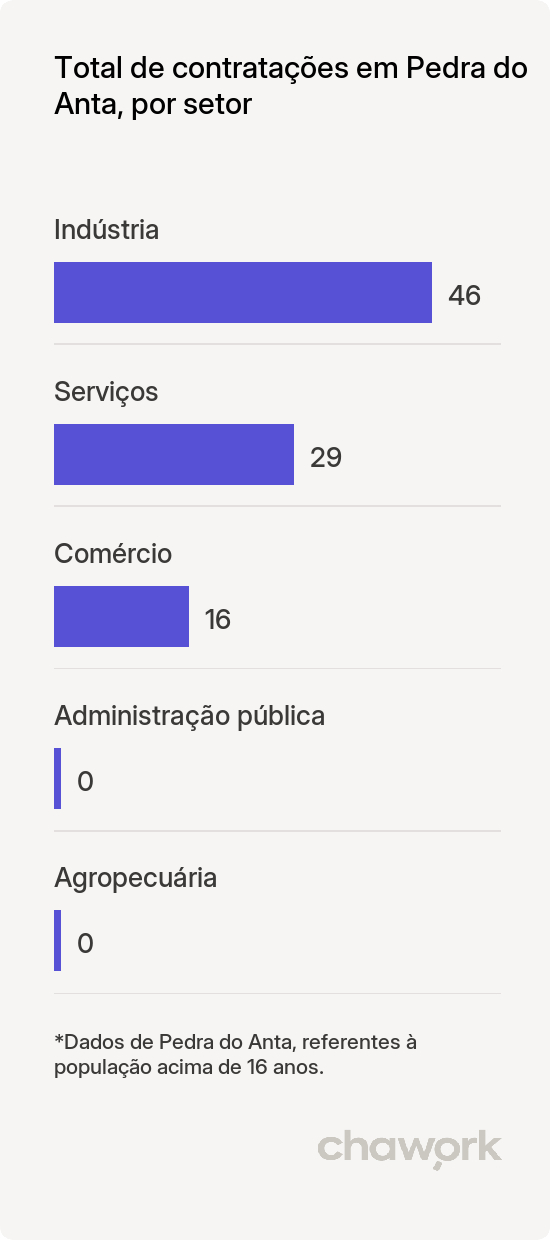 Total de contratações por setor em Pedra do Anta, MG
