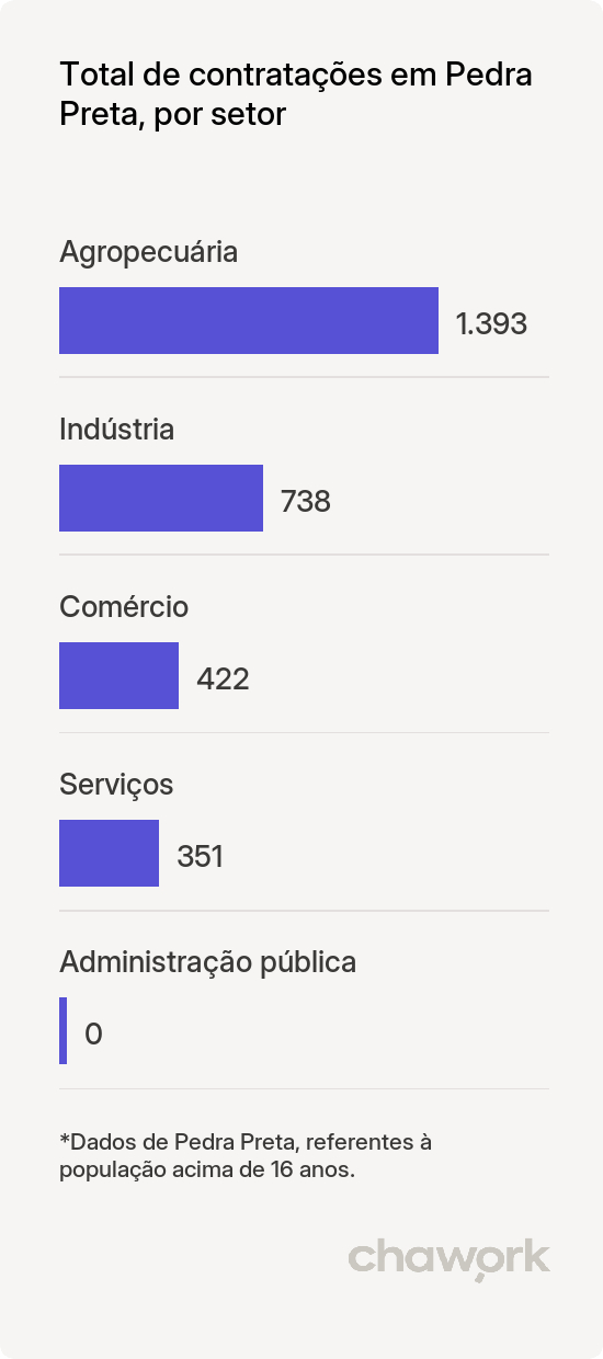 Total de contratações por setor em Pedra Preta, RN
