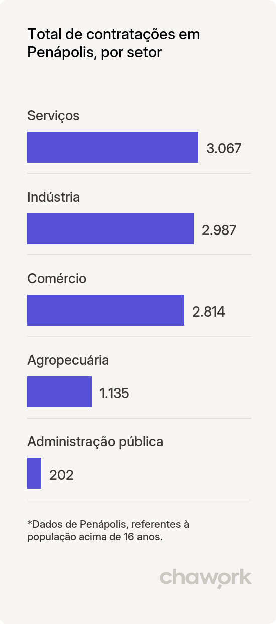 Total de contratações por setor em Penápolis, SP