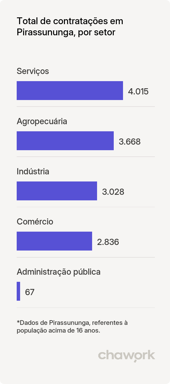 Total de contratações por setor em Pirassununga, SP
