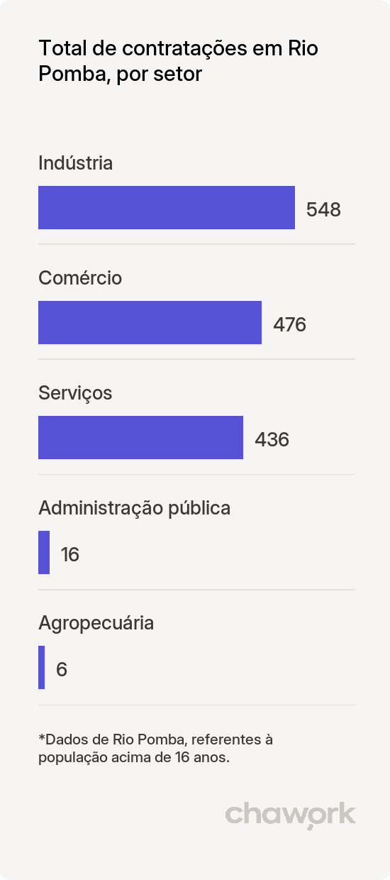 Total de contratações por setor em Rio Pomba, MG
