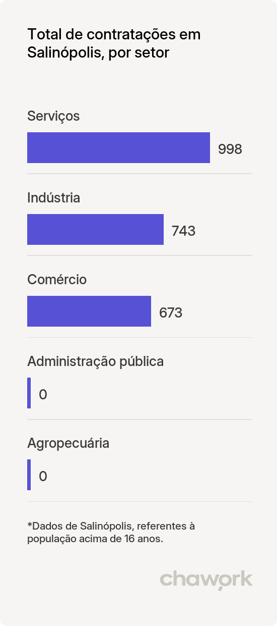 Total de contratações por setor em Salinópolis, PA