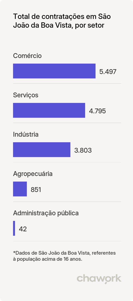 Total de contratações por setor em São João da Boa Vista, SP
