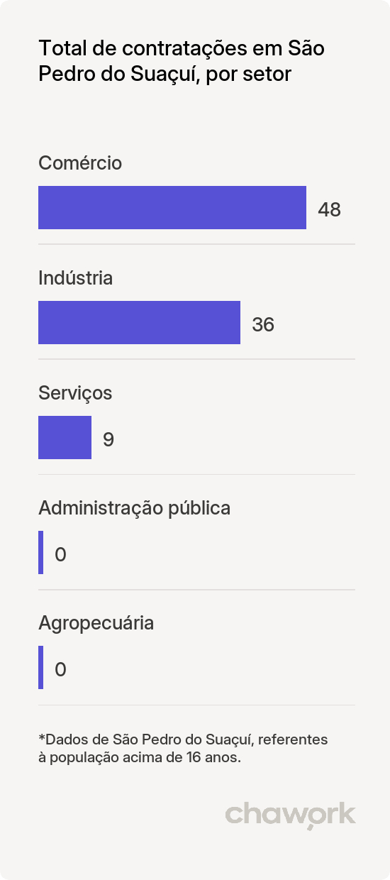 Total de contratações por setor em São Pedro do Suaçuí, MG