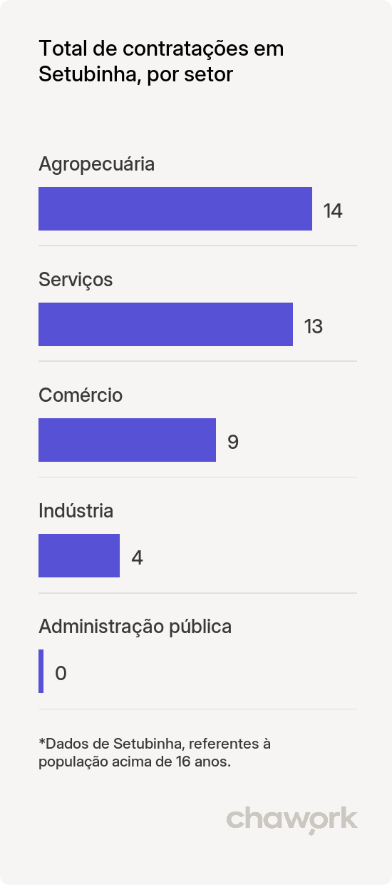 Total de contratações por setor em Setubinha, MG