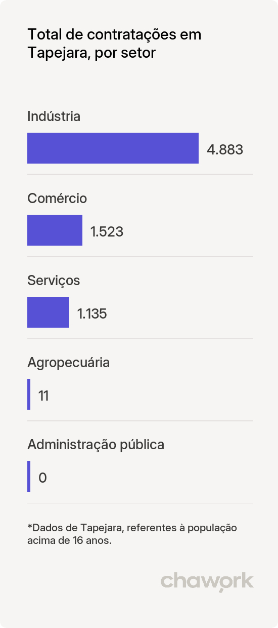 Total de contratações por setor em Tapejara, RS