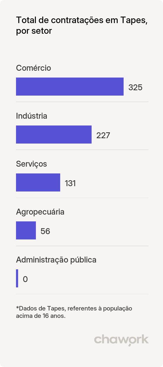 Total de contratações por setor em Tapes, RS