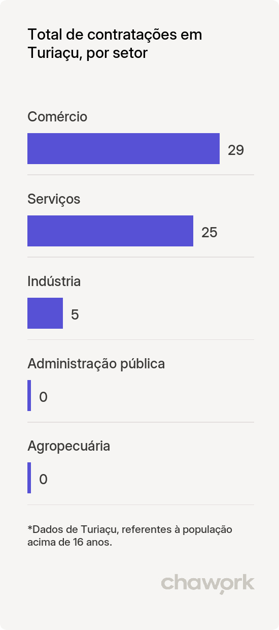 Total de contratações por setor em Turiaçu, MA