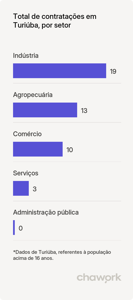 Total de contratações por setor em Turiúba, SP
