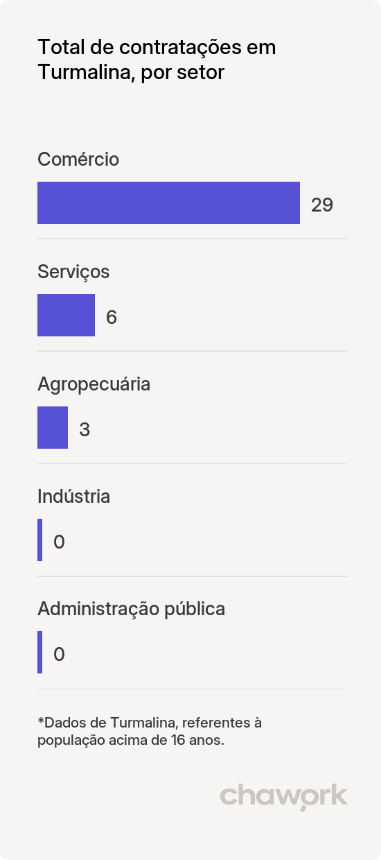 Total de contratações por setor em Turmalina, MG