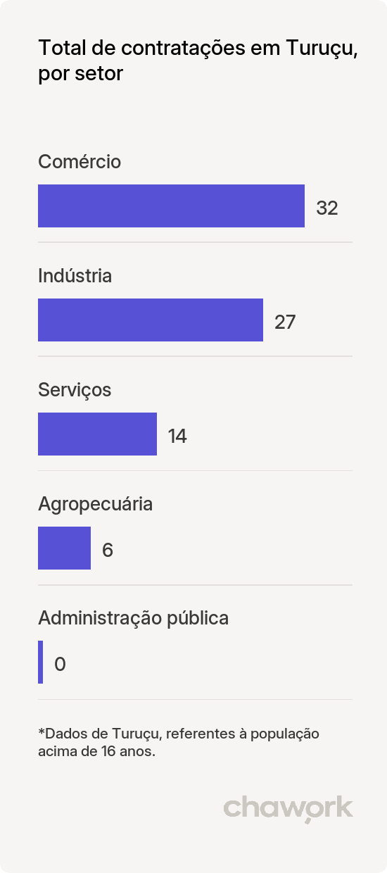 Total de contratações por setor em Turuçu, RS