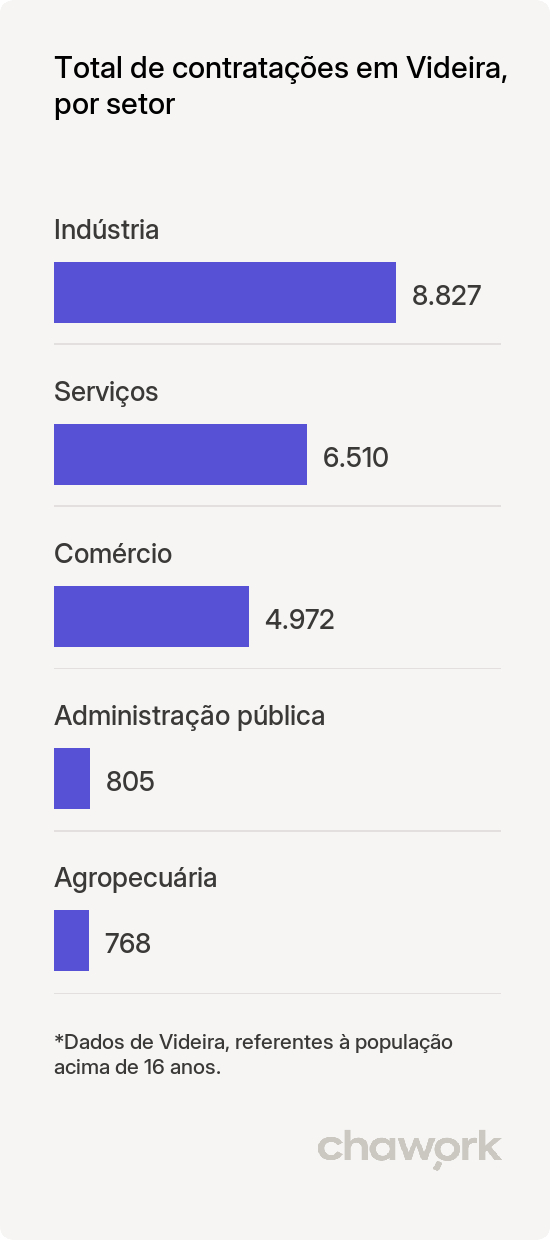 Total de contratações por setor em Videira, SC