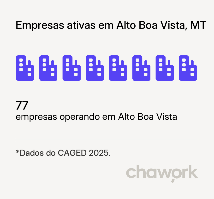 Empresas ativas em Alto Boa Vista, MT