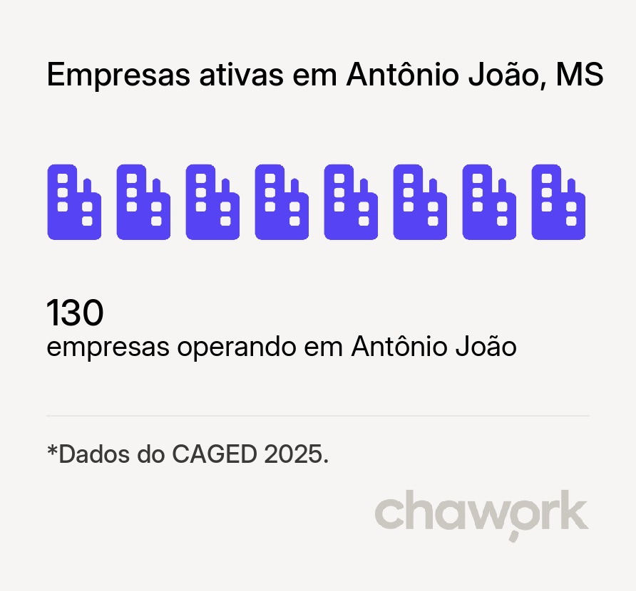 Empresas ativas em Antônio João, MS