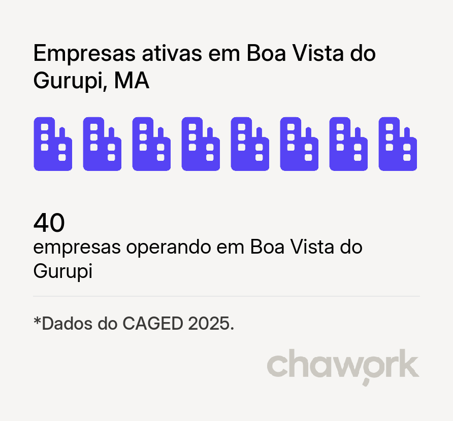 Empresas ativas em Boa Vista do Gurupi, MA
