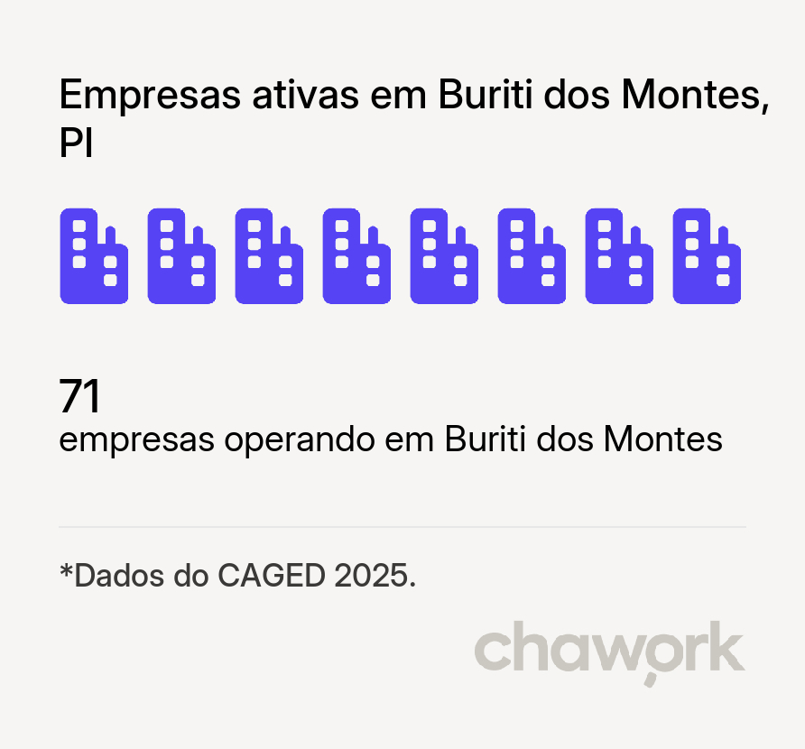 Empresas ativas em Buriti dos Montes, PI