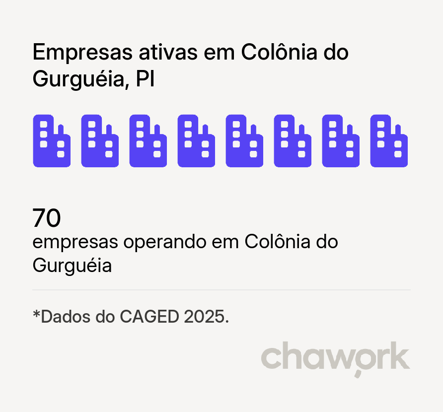 Empresas ativas em Colônia do Gurguéia, PI