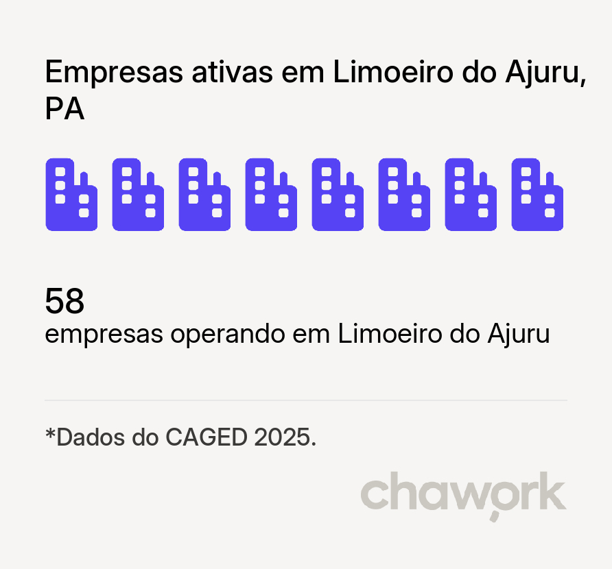 Empresas ativas em Limoeiro do Ajuru, PA