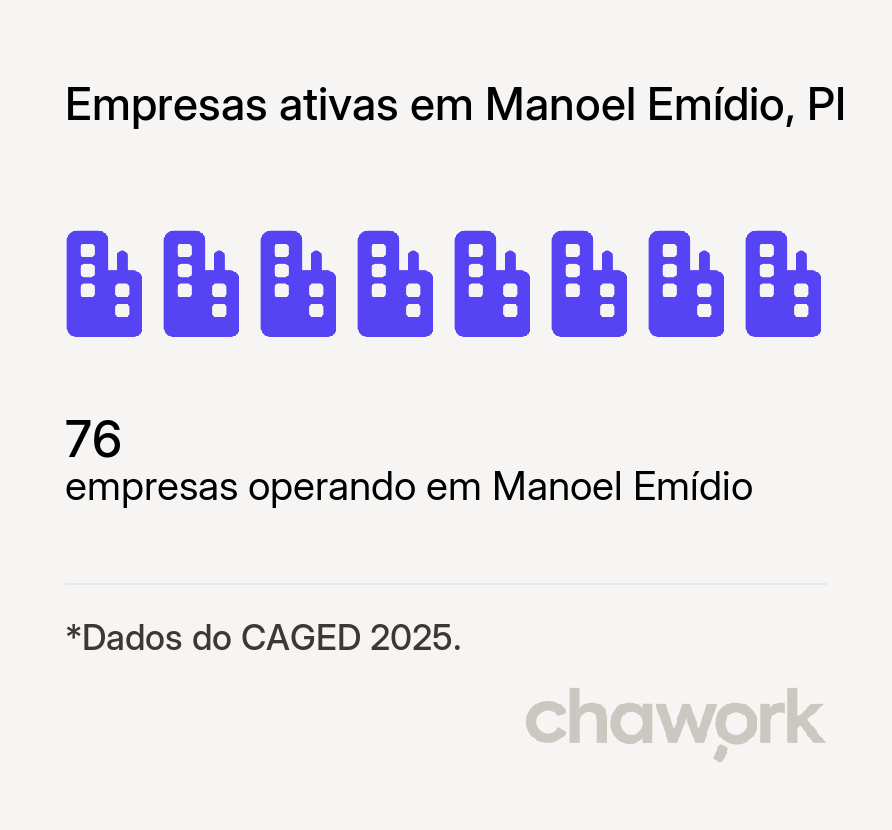 Empresas ativas em Manoel Emídio, PI