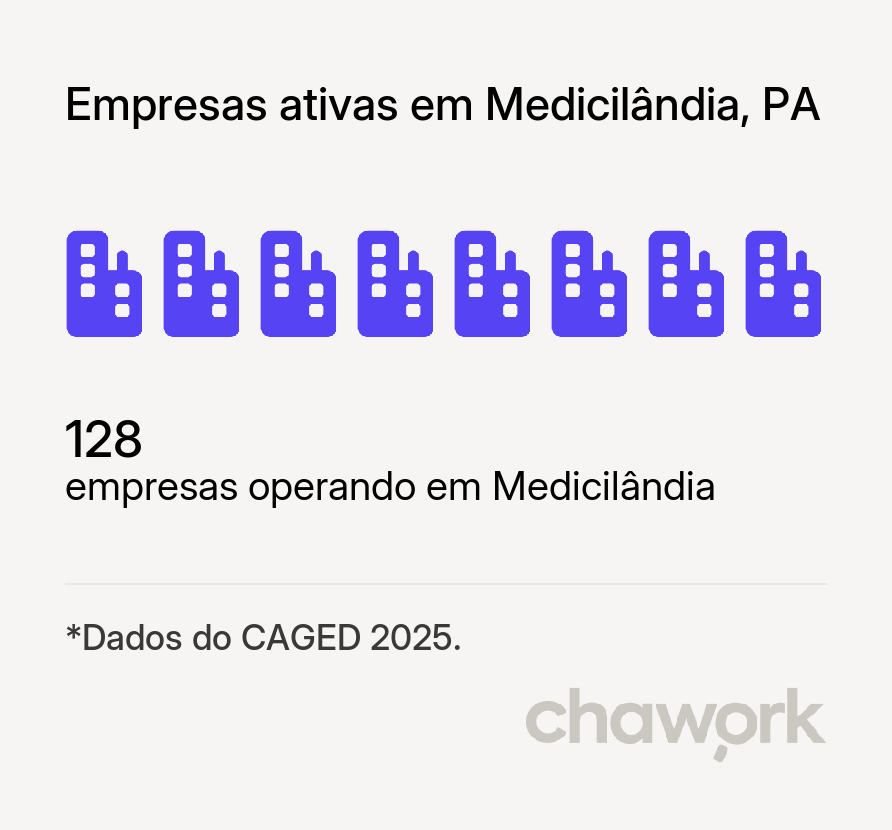 Empresas ativas em Medicilândia, PA