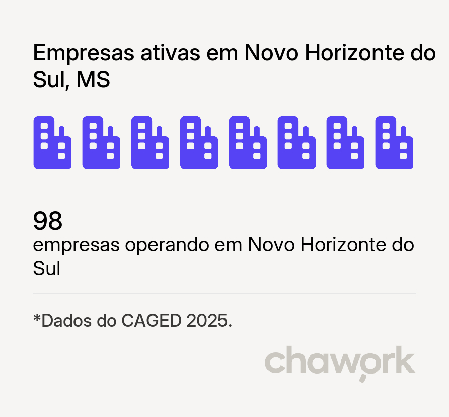 Empresas ativas em Novo Horizonte do Sul, MS