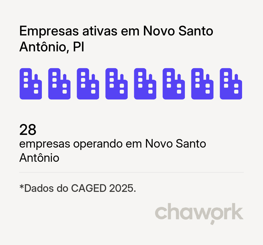 Empresas ativas em Novo Santo Antônio, PI
