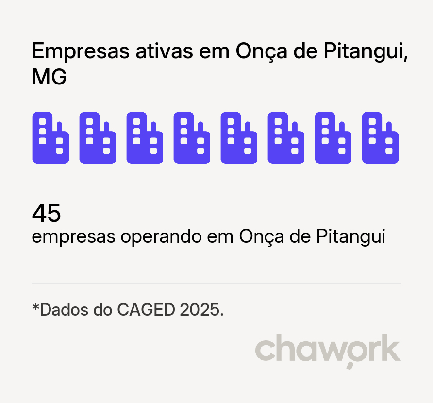 Empresas ativas em Onça de Pitangui, MG