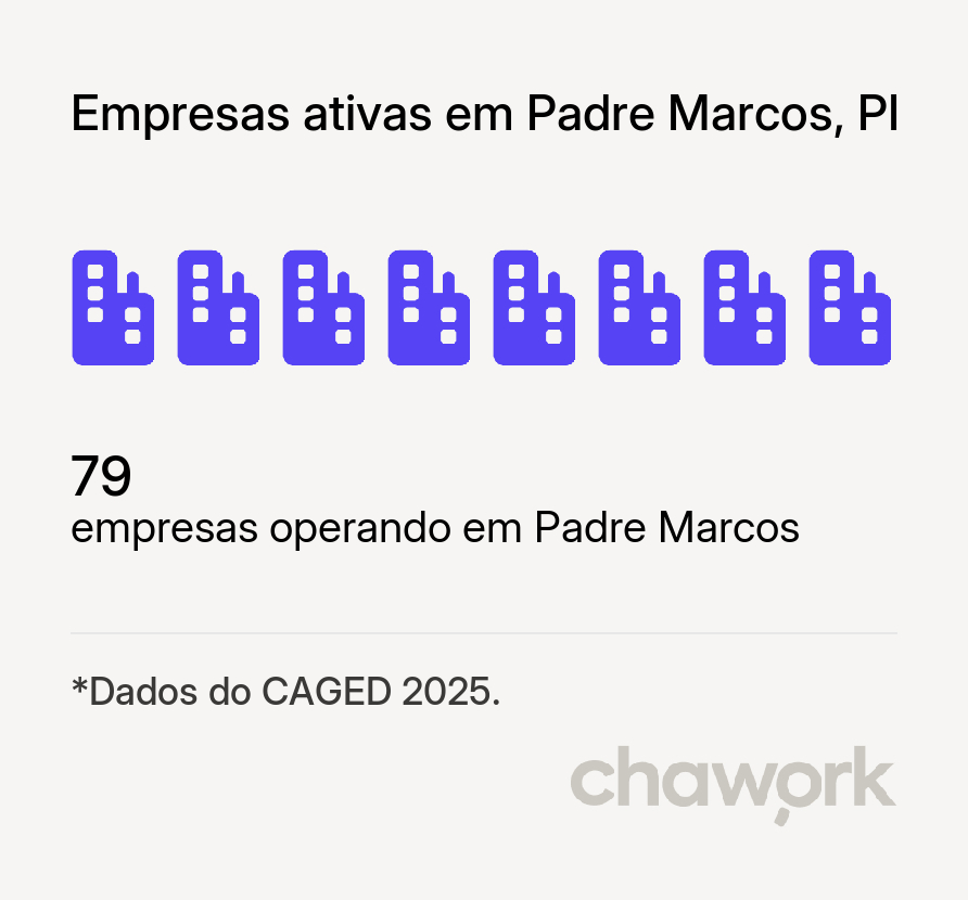 Empresas ativas em Padre Marcos, PI