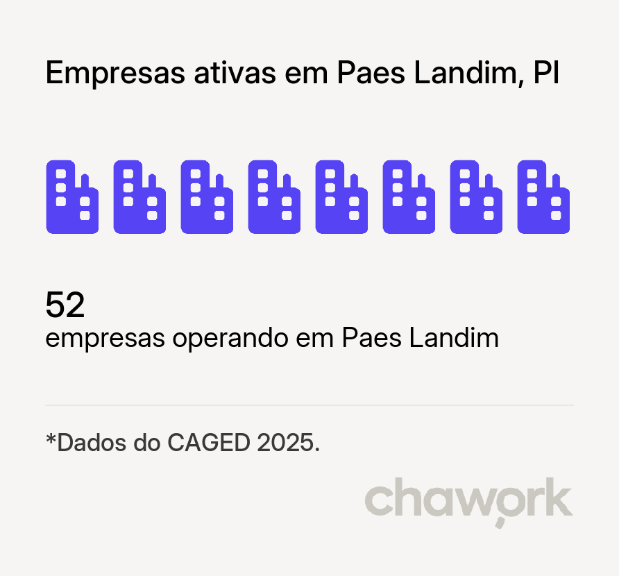 Empresas ativas em Paes Landim, PI