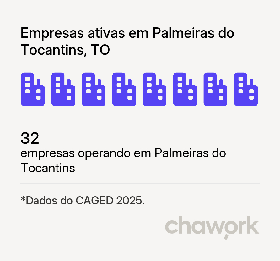 Empresas ativas em Palmeiras do Tocantins, TO